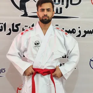 توکایدو سردوشی چسبی
